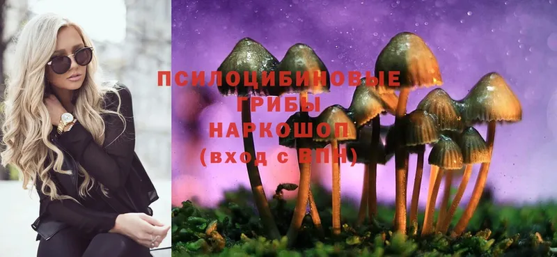 закладка  ссылка на мегу ССЫЛКА  Псилоцибиновые грибы Cubensis  Старый Оскол 